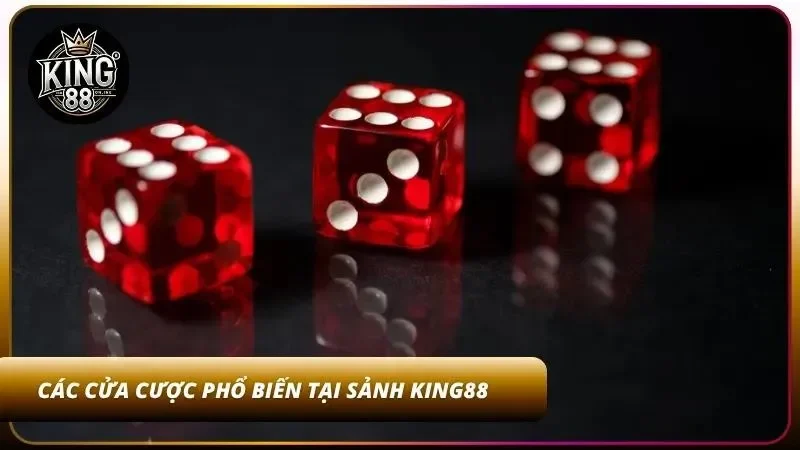Cách Chơi Tài Xỉu – Luật Chơi Và Mẹo Cho Người Mới KING88 3 Các cửa cược cơ bản anh em có thể biết