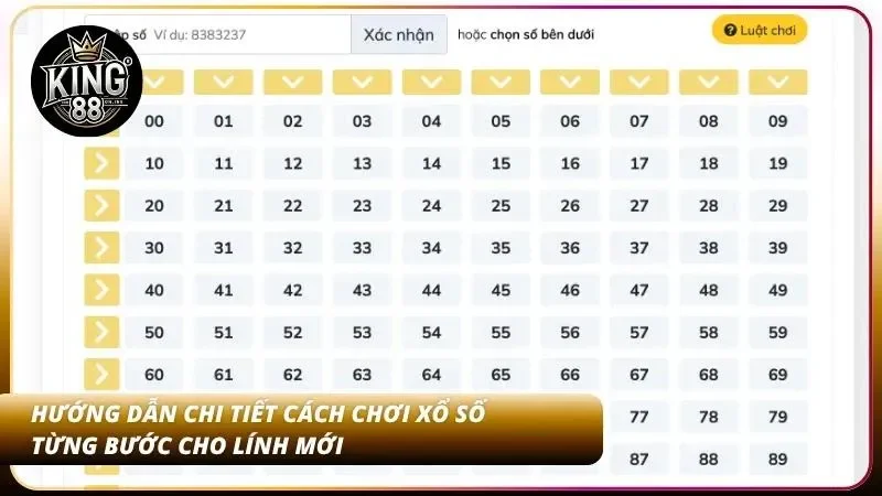 Cách Chơi Xổ Số – Hướng Dẫn Lô Đề Từ A-Z Chi Tiết 3 Chi tiết các bước đặt cược chuẩn xác cho tân binh