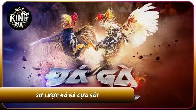 Đôi nét về đá gà cựa sắt hot hit
