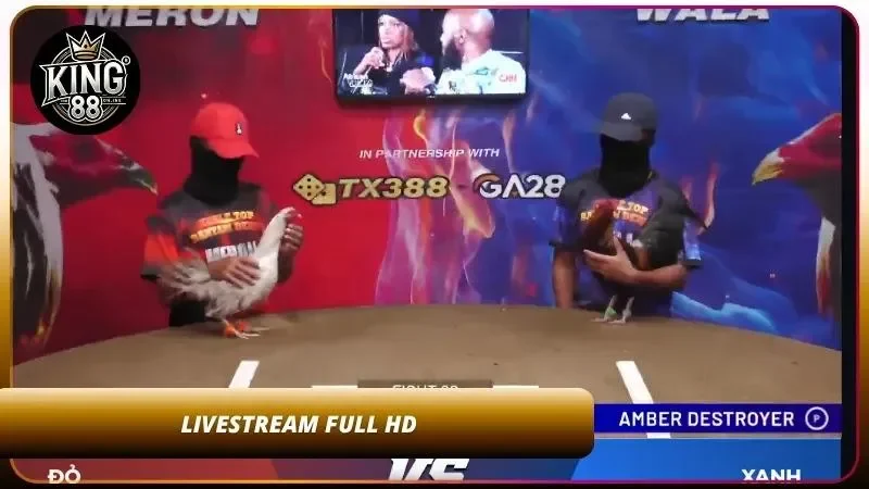 Livestream trực tiếp chất lượng cao