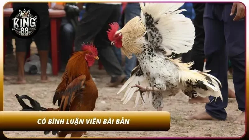 Có bình luận viên chuyên nghiệp trong mọi trận đấu