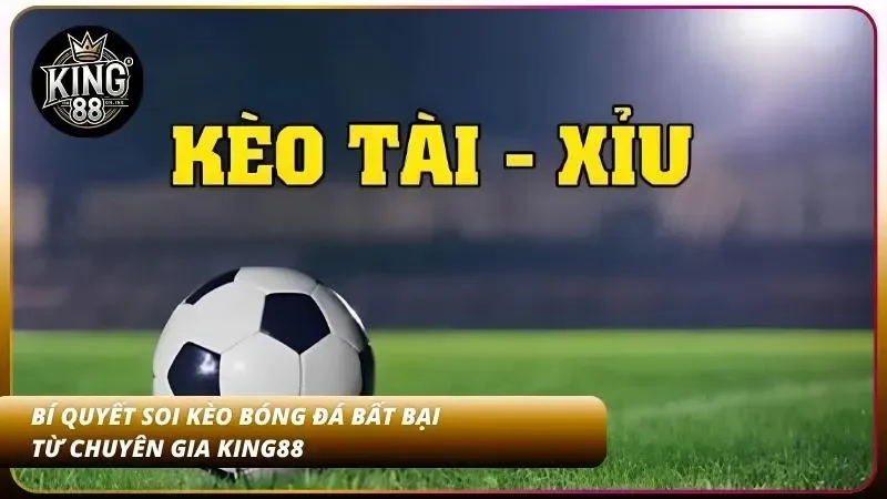 Kinh nghiệm soi kèo tài xỉu bóng đá hiệu quả đòi hỏi sự kết hợp giữa việc phân tích số liệu thực tế và quản lý nguồn vốn nghiêm ngặt.
