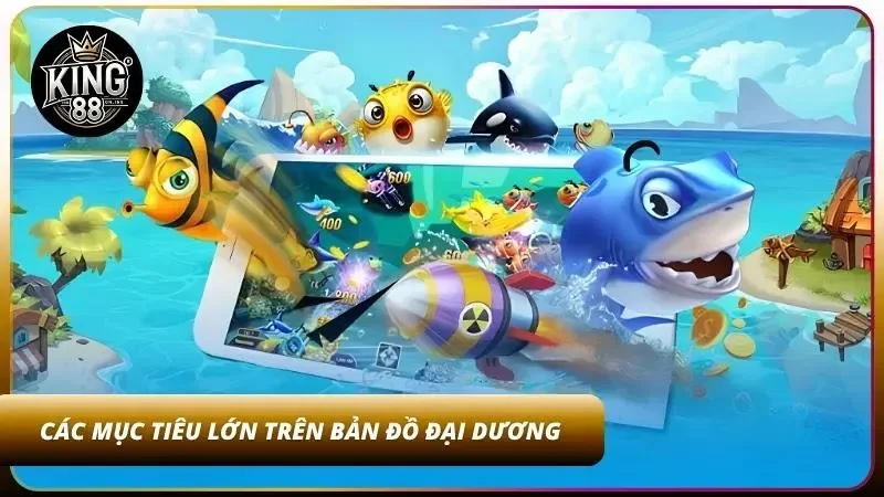 Phân tích kỹ lưỡng đặc điểm của từng loài sinh vật biển